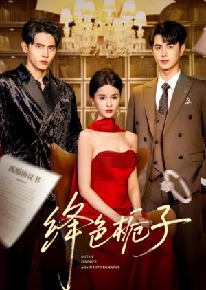 Out of Divorce, Again into Romance (2025) poster