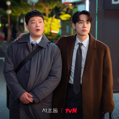 Law and the City (2025)