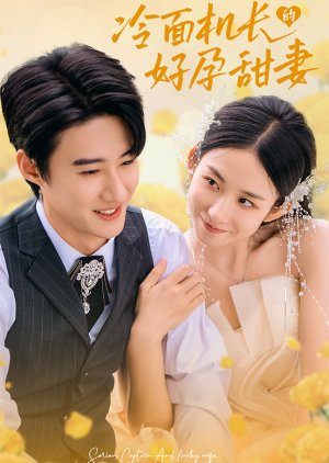 Serious Captain and Lucky Wife (2024) poster
