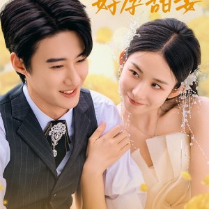 Serious Captain and Lucky Wife (2024)