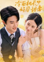 Serious Captain and Lucky Wife Chinese Drama(2024) photo