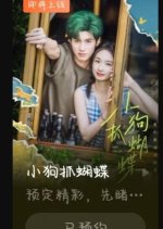 The Crush Chinese Drama(2025) photo