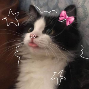 Yuichan69