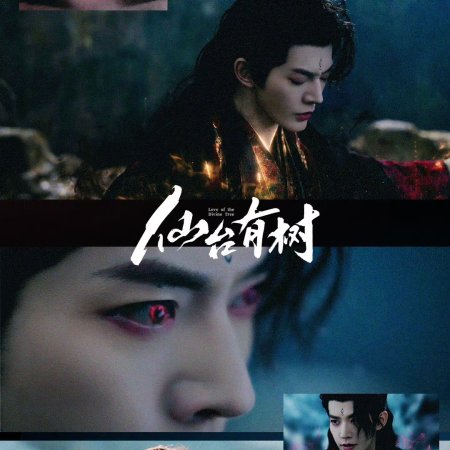 Love of the Divine Tree (2025)