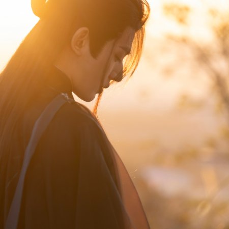 Love of the Divine Tree (2025)