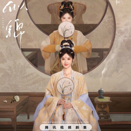 Si Jin (2025)
