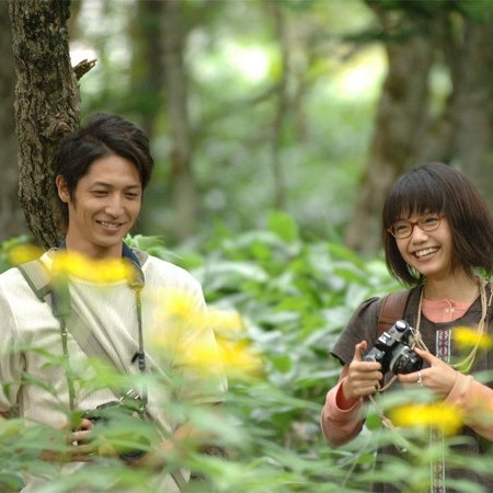 Heavenly Forest (2006)