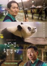 My Dearest Fu Bao Korean Movie photo