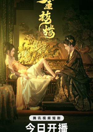 Jin Zhi Lou (2025) poster