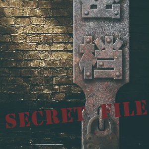 Secret File ()