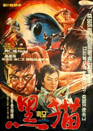 Black Leopard poster