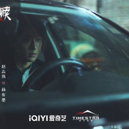 The Perfect Suspect (2025)