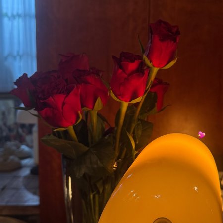 Revamp the Undead Story (2025)