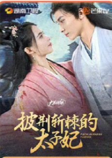 Pi Jing Zhan Ji De Tai Zi Fei () poster