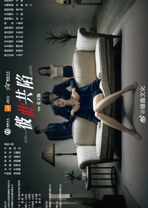 Bi Ci Gong Xian () poster