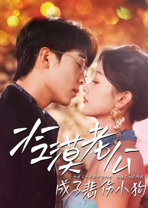 Indifferent Husband poster