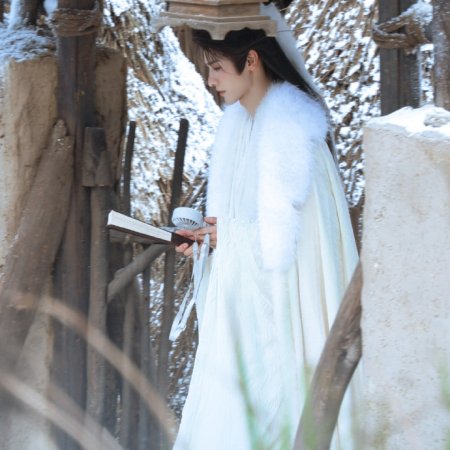 The Legend of Lu Xiaofeng ()
