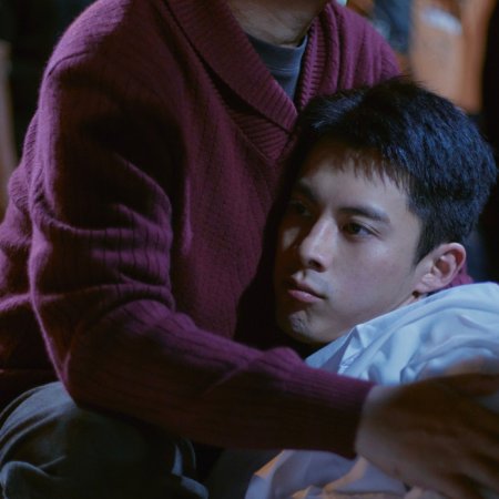 Light to the Night (2026)
