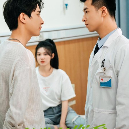 Let Me Gaze at You (2024)
