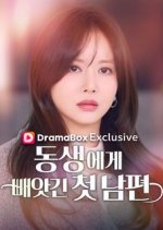 The Stolen First Husband Korean Drama(2026) photo