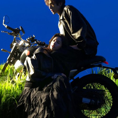 Love for You (2026)