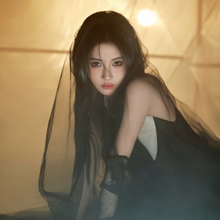 Veil of Shadows (2026)