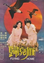 Flying Home Taiwanese Movie(1980) photo