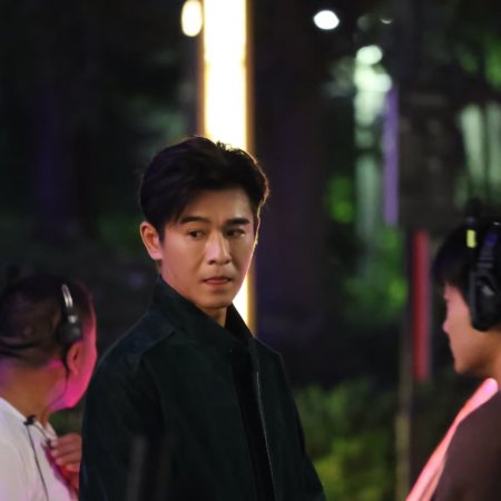 The Vanishing Beauty ()