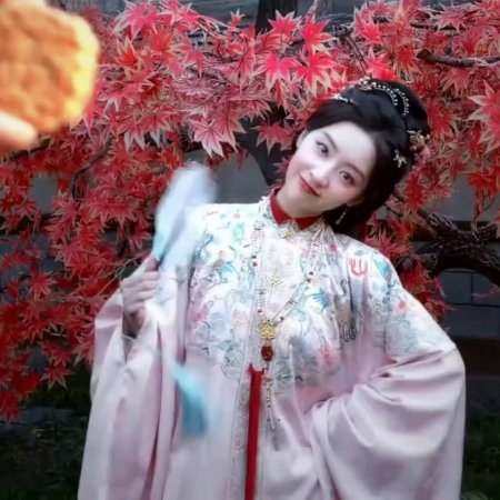 The Road to Splendor ()