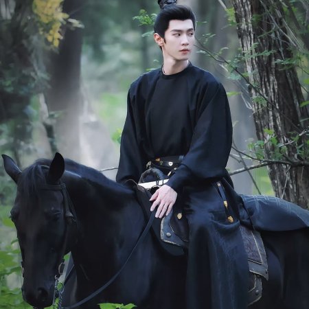 Jiang Shan Wei Pin ()