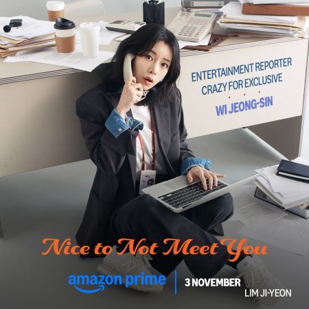 Nice to Not Meet You (2025)