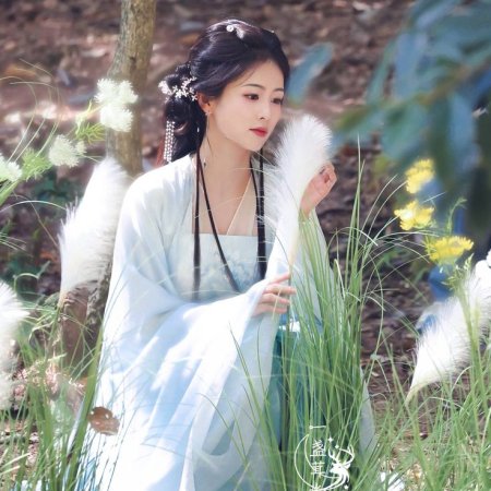 Moonlight Mystique (2025)