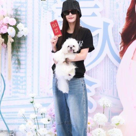 The Vanishing Beauty ()