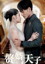 The Heavenly Son In Law Chinese Drama(2024) photo
