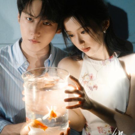 Never-Ending Summer ()