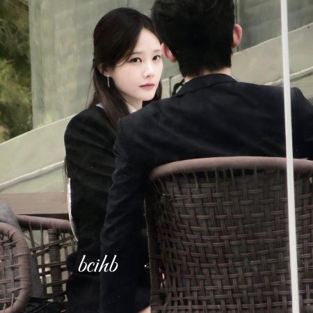 The Vanishing Beauty ()