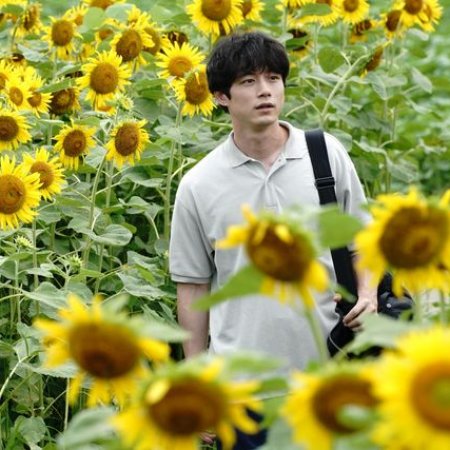 The Final Piece (2025)