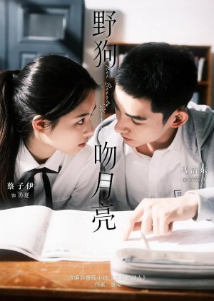 Ye Gou Wen Yue Liang (2025) poster