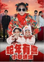 She Nian You Xi Zhi Xiao Cao Jin Cheng Chinese Drama(2025) photo