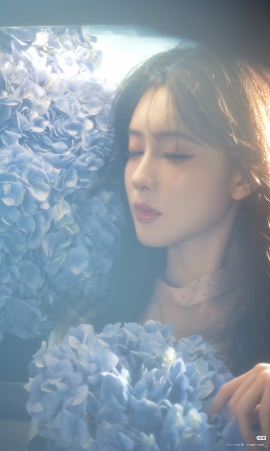'Endless Summers' (爱在无尽夏)
