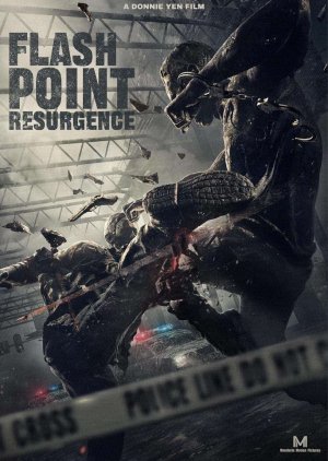 Flash Point: Resurgence () poster