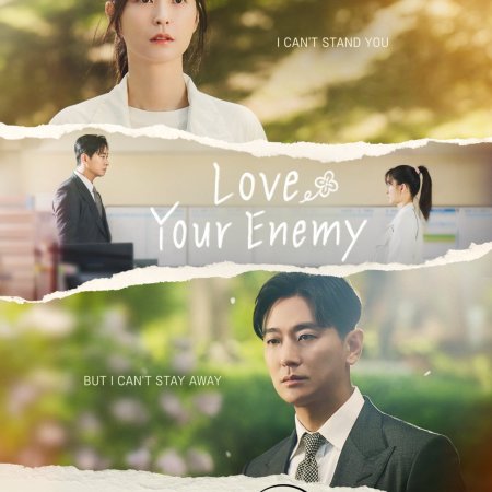 Love Your Enemy (2024)