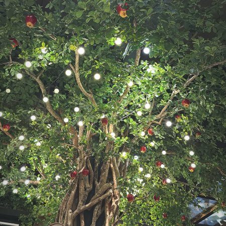 Revamp the Undead Story (2025)