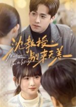 Meet You Like the Wind Chinese Drama(2025) photo
