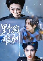 Xun Ye Chinese Drama(2025) photo