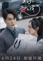 Ting Jian Ni, Ai Shang Wo