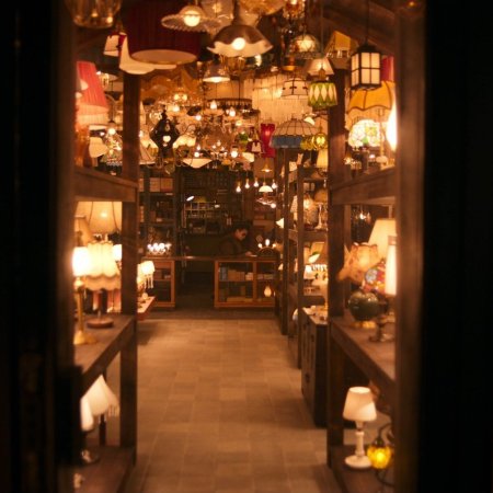 Light Shop (2024)