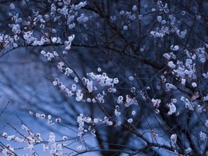 Blue World