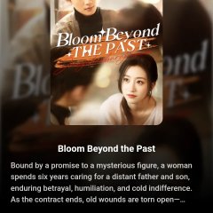 Jiang Chun Bu Ru Jiu Nian Chinese Drama photo