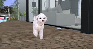 meena_0a